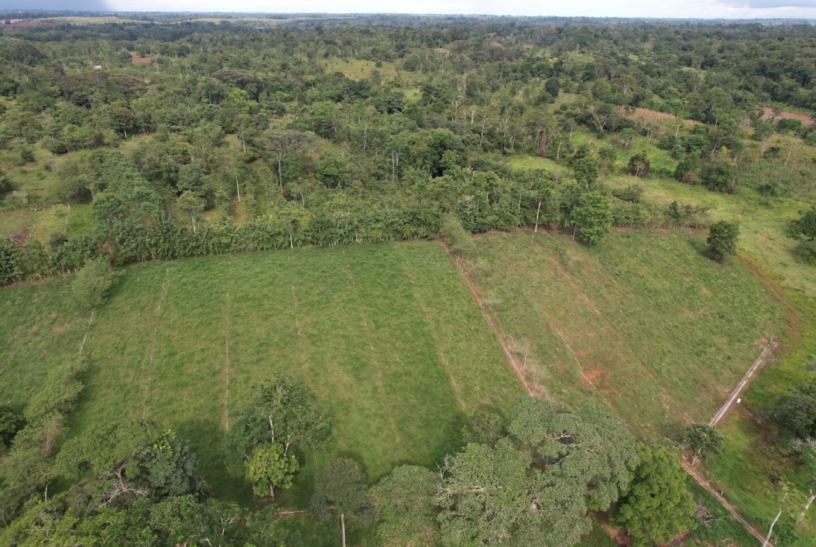 Finca Lechera en Costa Rica